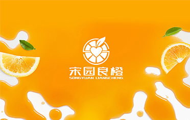 某良橙——抚州LOGO设计